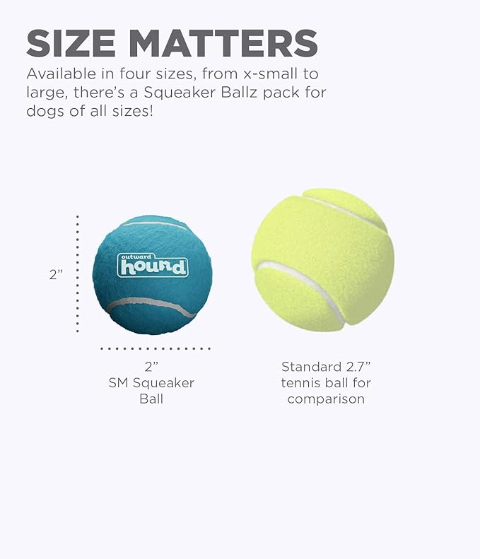Outward Hound Squeaker Ballz Fetch Dog Toy, Small- 4 Pack