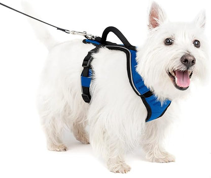 PetSafe EasySport Dog Harness – Adjustable, Padded Dog Harness with Control Handle and Reflective Piping – Small, Blue
