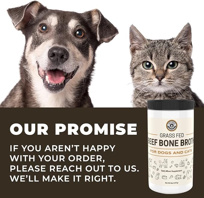 8oz Beef Bone Broth Powder for Dogs and Cats – Human Grade Grass-Fed Bone Broth for Picky Eaters – Supports Joints and Gut Health – Single Ingredient Bone Broth for Cats -Dog Food Toppers For Dry Food