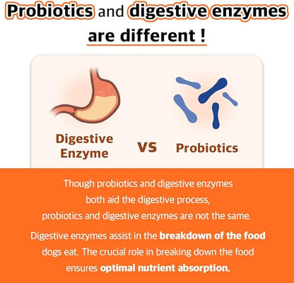 Enzyme for Dogs Digestive Enzyme Supplements for Dogs with Protease, Amylase, Lipase - Promotes Digestion and Improves Nutrient Absorption - 30 Individually Packaged (1 Pack)