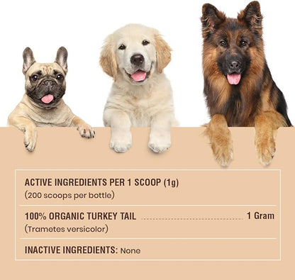 Turkey Tail Mushroom for Dogs and Cats - Certified Organic Turkey Tail Powder, Canine Immune Support, 200 Grams