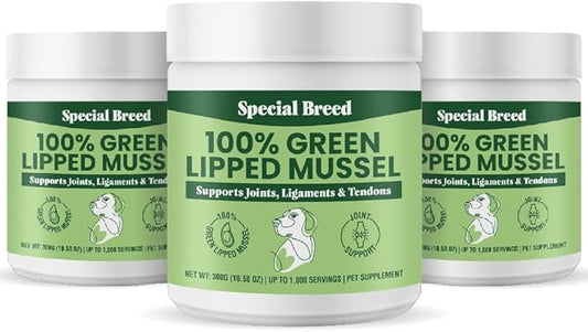 Green Lipped Mussels for Dogs & Cats - Premium Joint Supplement Powder for HIPS, Joints, and Muscles (300 Grams, Up to 1,000 Servings) - 3 Pack