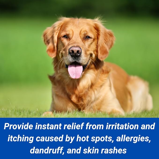 Skin Relief Spray for Dogs | Relieves Dry Itchy Skin, Hot Spots, Dandruff, Allergy Dermatitis, & Skin Rashes | Clear, Stainless, & Greaseless | Provides Fast, Temporary Relief | 4oz Spray