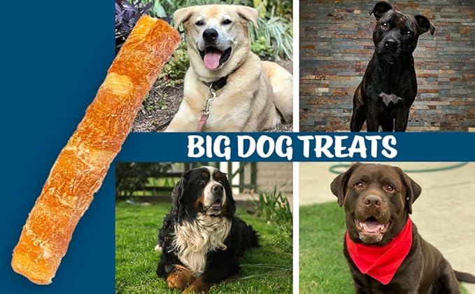 Chicken On A Stick Crunchy & Chewy Chicken Jerky Wrapped Rawhides for Large Dogs, Made in The USA 2-in-1 Dog Treats for Large Dogs, Mega Size 1 Ct