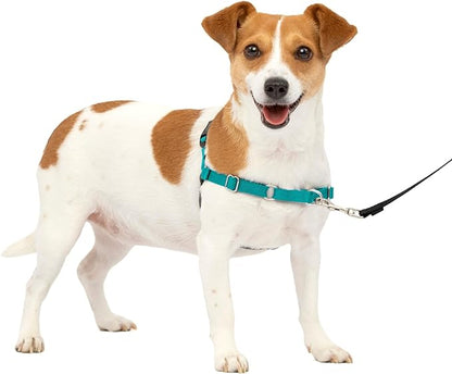 PetSafe Easy Walk No-Pull Dog Harness - The Ultimate Harness to Help Stop Pulling - Take Control & Teach Better Leash Manners - Helps Prevent Pets Pulling on Walks, Small, Teal