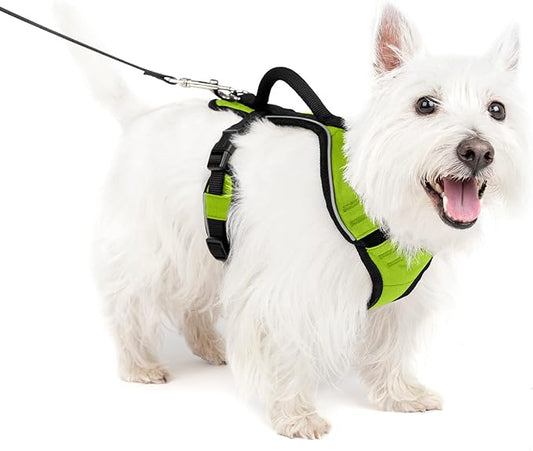 PetSafe EasySport Dog Harness, Adjustable Padded Dog Harness with Control Handle and Reflective Piping, From the Makers of the Easy Walk Harness