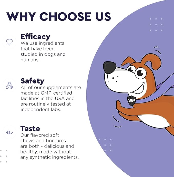 Premium DMG for Dogs – DMG Liquid to Support Immune Health, Skin, Stamina, Muscles, Stress & Performance - Dimethylglycine (DMG) for All Ages, Sizes & Breeds – 4oz
