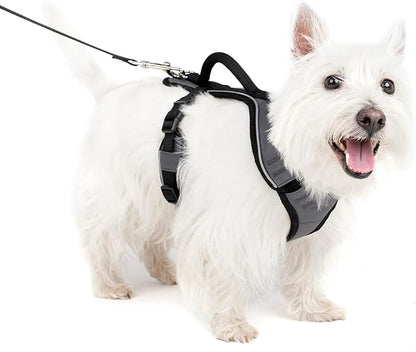 PetSafe EasySport Dog Harness - Padded, Adjustable Dog Harness with Control Handle and Reflective Piping - Great for Active Dogs - from The Makers of The Easy Walk Harness - Small, Charcoal