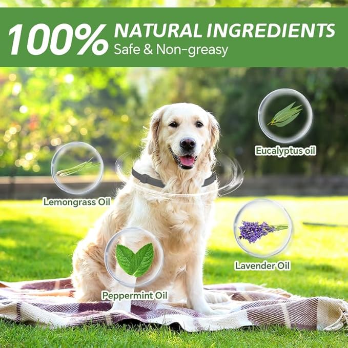 4 Pack Flea Collar for Dogs, Natural Flea and Tick Collar for Dogs, 8-Month Flea and Tick Prevention for Dogs, Dog Flea & Tick Control, Water Resistant Dog Flea Collar for Dogs Puppies, Gray