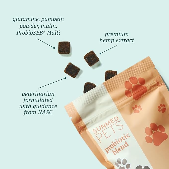 Probiotics for Dogs with Pumpkin & Probiotic Blend - Formulated for Dog Digestive Health, Overall Wellness - Hemp Extract Chews, 40 Count