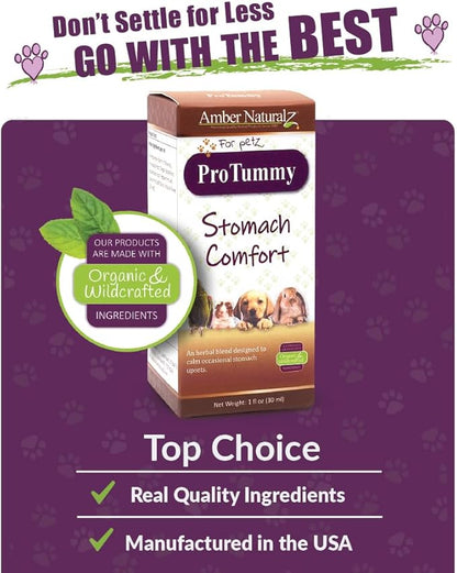 Amber NaturalZ ProTummy Stomach Comfort Herbal Blend for Dogs, Bird, Guinea Pigs, and Rabbits | Herbal Supplement for Occasional Upset Stomach | 1 Fluid Ounce Glass Bottle | Manufactured in The USA