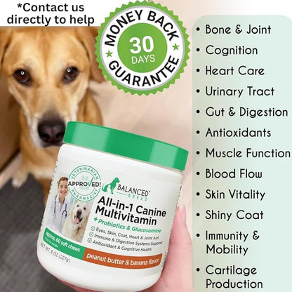 Balanced Breed All-in-1 Dog Multivitamin Supplement Made In USA NonGMO Vet-Pharmacist Approved Glucosamine Dogs Joint Support Dog Probiotic Dog Vitamins Supplements Salmon Oil Dogs Skin Coat Allergies