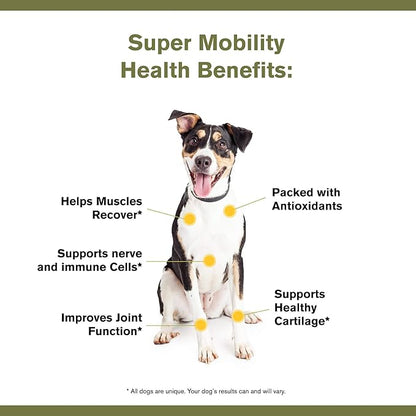 by Katherine Heigl- Super Mobility Canine Supplement Organic Ingredients Helps Maintain Healthy Cartilage, Optimal Joint Function (90 Grams, 30 Scoops)