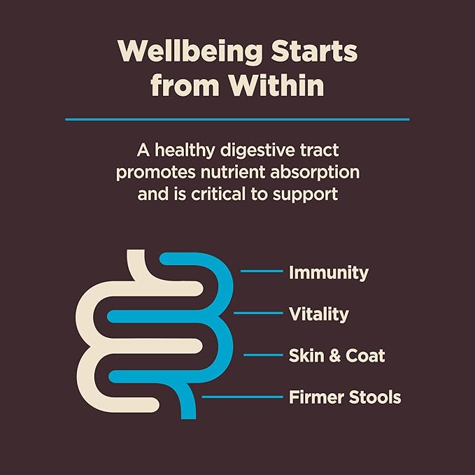 Wellness CORE Digestive Health Dry Dog Food with Wholesome Grains, Highly Digestible, for Dogs with Sensitive Stomachs, Made in USA with Real Protein (Whitefish & Brown Rice, 22-Pound Bag)
