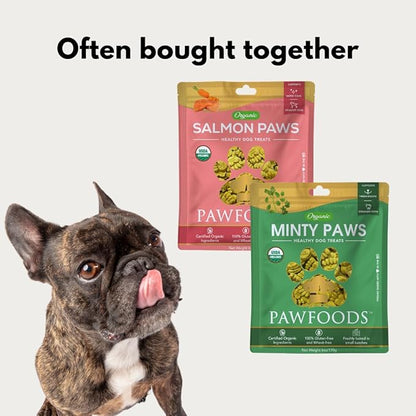 Salmon Dog Treats - Organic Dog Treats with Salmon - Shiny Coat Healthy Skin, Omega 3 & 6, Low Calorie Dog Training Treats, Healthy Dog Treats - Approx. 60 Treats Per Bag - 170g - Made in USA