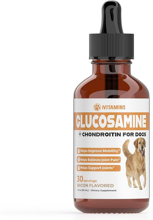 Glucosamine for Dogs | Supports Healthy Hips, Joints, & More | Glucosamine for Dogs Hip and Joint Supplement | Dog Glucosamine | Dog Joint Supplement | Glucosamine Chondroitin for Dogs | 1 fl oz