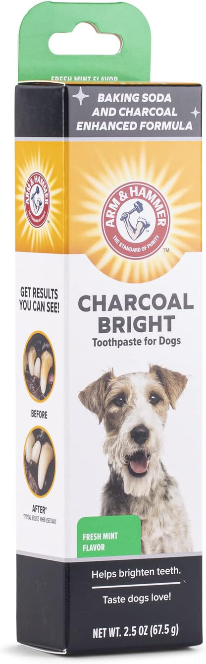 Arm & Hammer Charcoal Bright Toothpaste for Dogs, Charcoal | Pet-Safe, Natural Dog Toothpaste & Breath Freshener with Charcoal & Enzymes | 2.5oz Canine Teeth Cleaning Paste Arm & Hammer