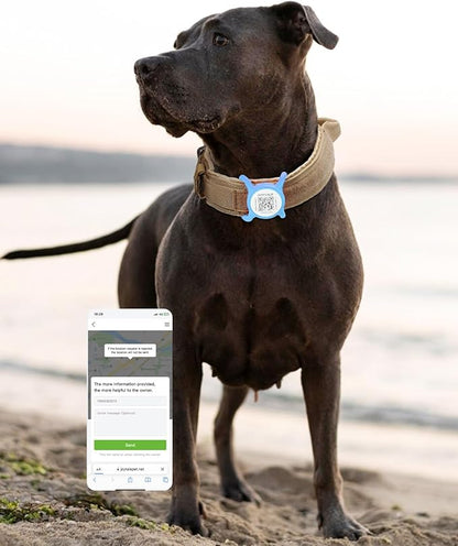 Joytale [ NO APP Required ] Silent Silicone QR Code Dog Tag, Slide On Dog Tags for 1 Inch Wide Collars or Vest, NFC Pet Online Profile, Scan QR to Send Location Alert Email, Sky Blue, M