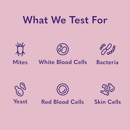 MySimplePetLab Dogs Ear Infection Test Kit | Fast and Accurate Detection of Yeast and other Ear Irritations| Reliable Mail-in Dog Ear Care Test for Smelly, Itchy, or Sore Ears