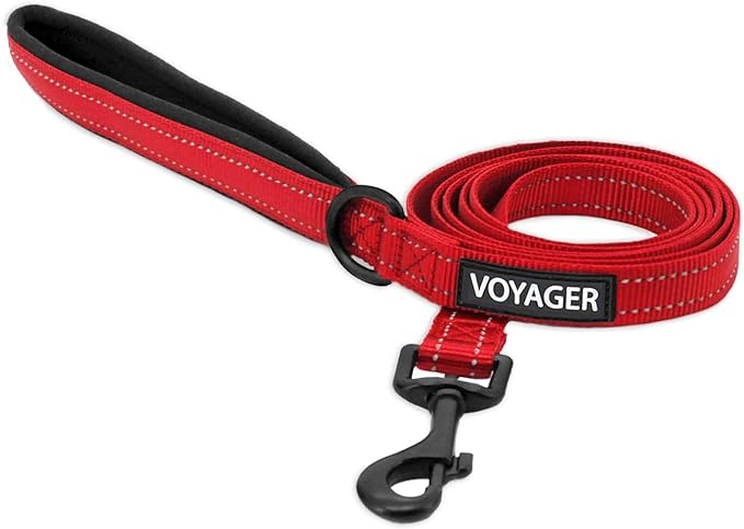 Voyager Reflective Dog Leash with Neoprene Handle, 5ft Long, Supports Small, Medium, and Large Breed Puppies, Cute and Heavy Duty for Walking, Running, and Training - Red (Leash), M