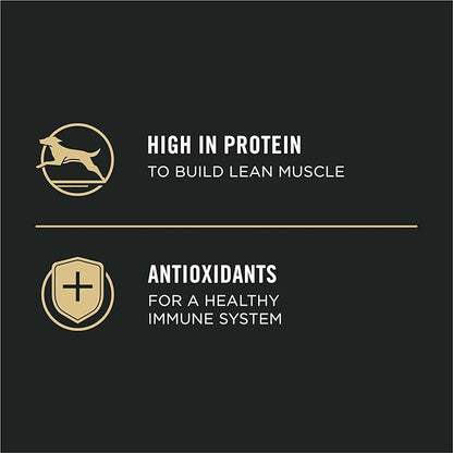Purina Pro Plan Sport High Protein Puppy Food Beef & Rice Wet Formula - (Pack of 12) 13 oz. Cans