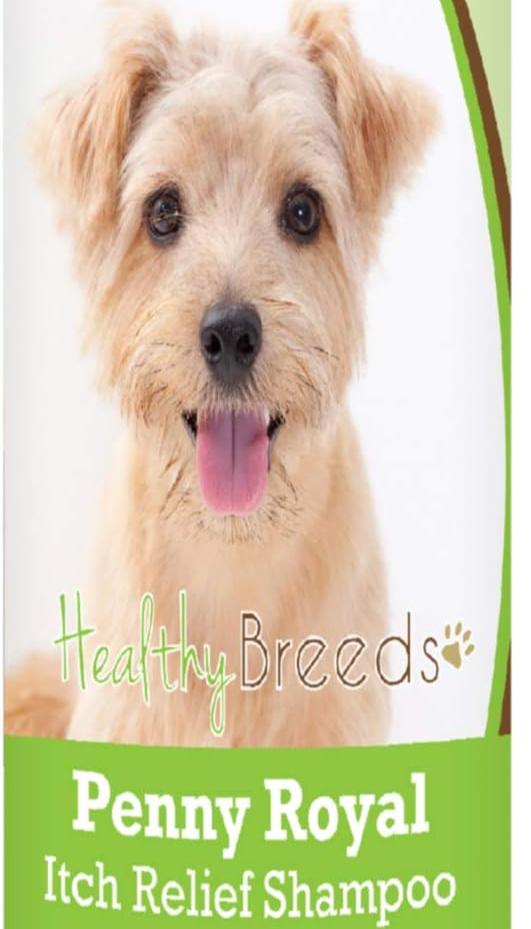 Healthy Breeds Norfolk Terrier Penny Royal Itch Relief Shampoo 8 oz