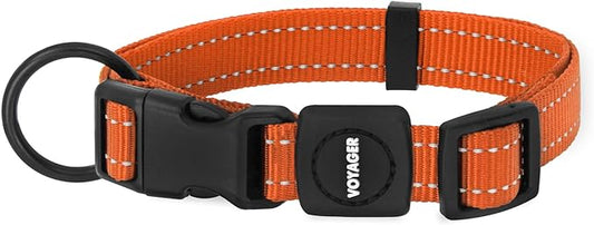 Best Pet Supplies Reflective Dog Collar with Adjustable Length, Heavy-Duty Buckle, and Strong Leash D-Ring, Training, Walking, Jogging Accessory for Small, Medium, and Large Breeds - Orange, L