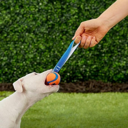 Chuckit Ultra Tug Dog Toy, Small Fetch and Dog Ball Tug Toy for Dogs 0-20 Pounds