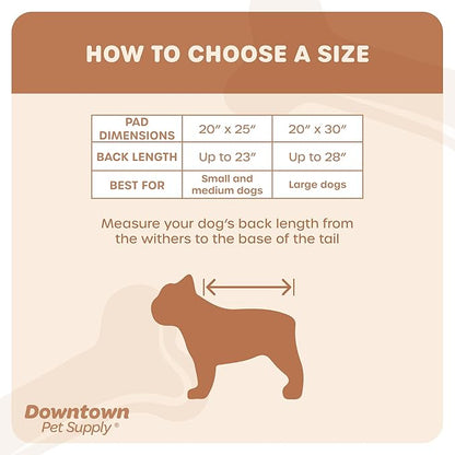 Downtown Pet Supply Dog Grass Pad with Tray, 20 x 25 w/Drawer - Outdoor and Indoor Potty System for Dogs with Replaceable Synthetic Grass Pee Turf - Portable and Waterproof Turf Dog Potty