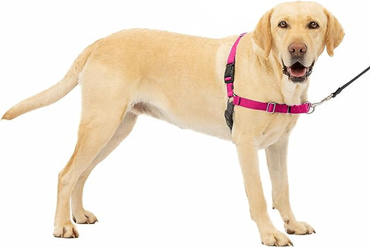 PetSafe Easy Walk Dog Harness - No Pull Dog Harness - Large, Raspberry