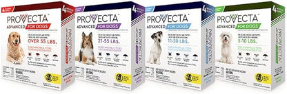 4 Doses Advanced for Dogs, Small/5-10 lb (Pack of 2)