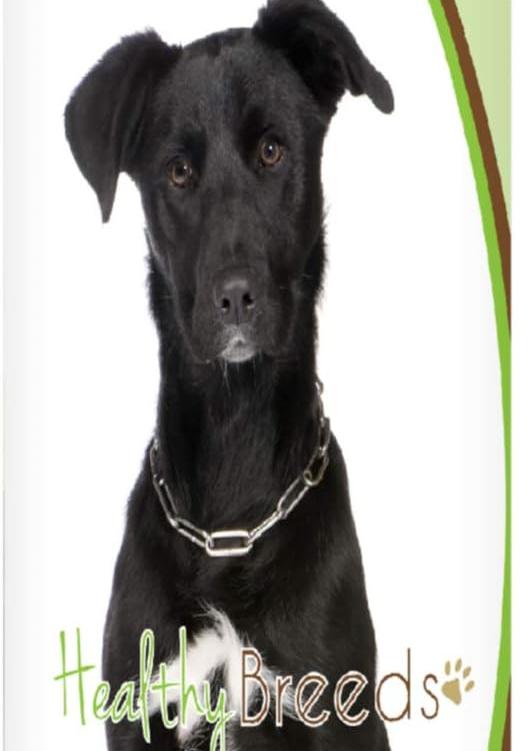 Healthy Breeds Mutt Penny Royal Itch Relief Shampoo 8 oz