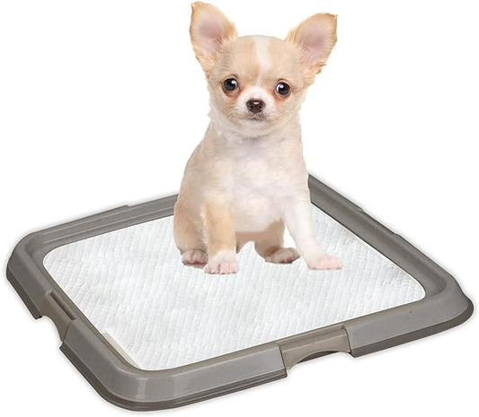 PAWISE Puppy Pads/Dog Pads Holder,Pee Pad Holder,Puppy Pad Holder,Dog Potty Tray for Dog Training for Puppies, Small Dogs & Cats 19.2 x 14 inch