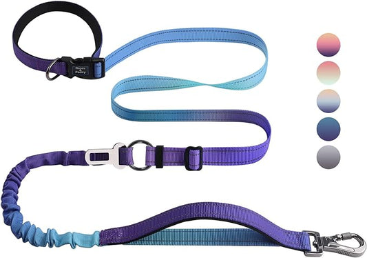 Roses&Poetry Hands Free Dog Leash Heavy Duty,No Pull Bungee Dog Running Waist Leash for Walking Training with Car Seatbelt 4-6FT