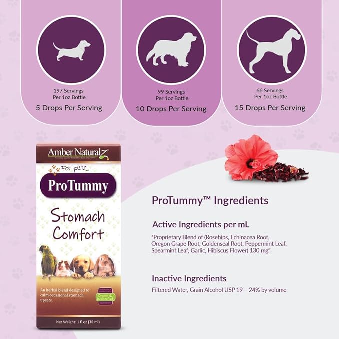 Amber NaturalZ ProTummy Stomach Comfort Herbal Blend for Dogs, Bird, Guinea Pigs, and Rabbits | Herbal Supplement for Occasional Upset Stomach | 1 Fluid Ounce Glass Bottle | Manufactured in The USA