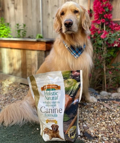 Bench & Field Holistic Natural Adult Dry Dog Food, Chicken Meal and Brown Rice Recipe 12 lb Bag (Pack of 1)
