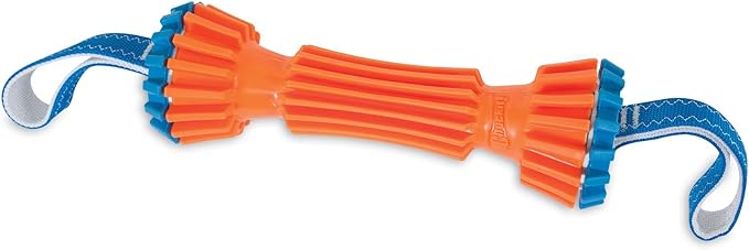 ChuckIt! Rugged Bumper Dog Toy, Medium