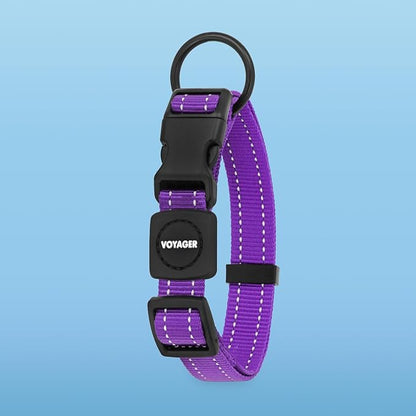 Voyager Reflective Dog Leash Collar Set with Neoprene Handle Supports Small, Medium, and Large Breed Puppies, Cute and Heavy Duty for Walking, Running, and Training - Purple, L