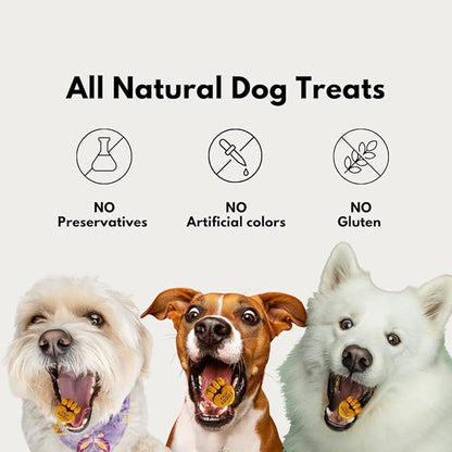 Salmon Dog Treats - Organic Dog Treats with Salmon - Shiny Coat Healthy Skin, Omega 3 & 6, Low Calorie Dog Training Treats, Healthy Dog Treats - Approx. 60 Treats Per Bag - 170g - Made in USA