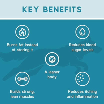 Ketona Salmon Recipe Adult Dry Dog Food, Natural, Low Carb (Only 5%), High Protein (46%), Grain-Free, The Nutrition of a Raw Diet with The Cost and Convenience of a Kibble; 24.2 lb