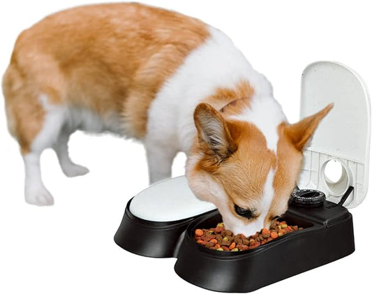 PAWISE Automatic Cat Feeder, 2 Meal, 48-Hour Timer, Dog/Cat Food Dispenser, 1.5 Cups, Schedule Meal or Treat