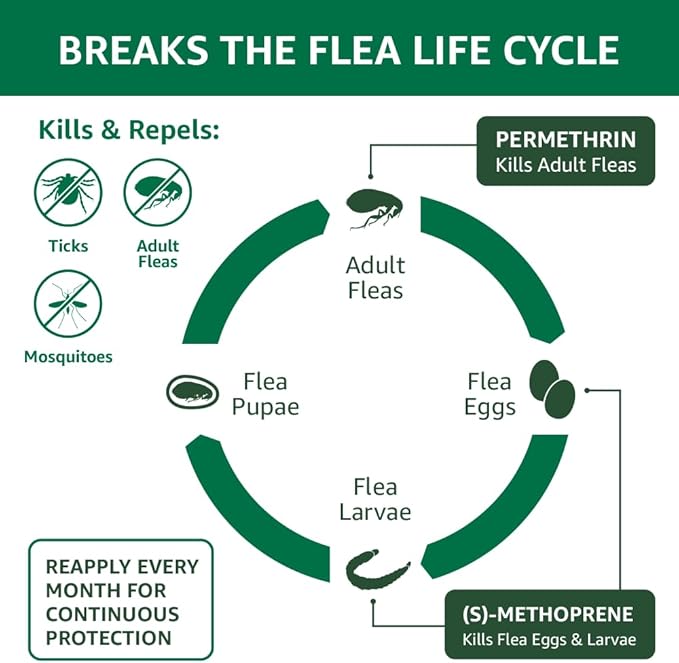 Amazon Basics Flea, Tick & Mosquito Topical Treatment for Small Dogs (4-10 pounds), 6 Count (Previously Solimo)