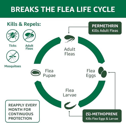 Amazon Basics Flea, Tick & Mosquito Topical Treatment for Small Dogs (4-10 pounds), 6 Count (Previously Solimo)