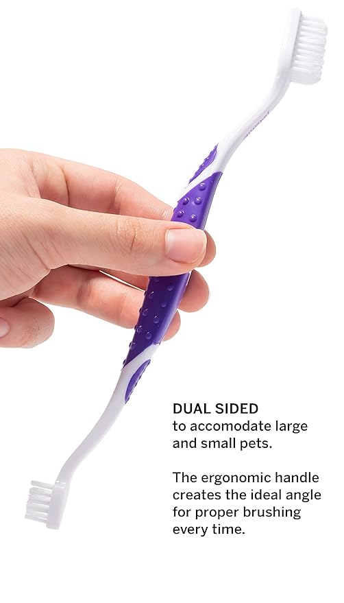 petsmile Professional Cat & Dog Toothbrush - Patented 45° Dual-Ended Brush Head for Small & Large Pets - Teeth Cleaning Pet Essentials - VOHC Approved Pet Supplies