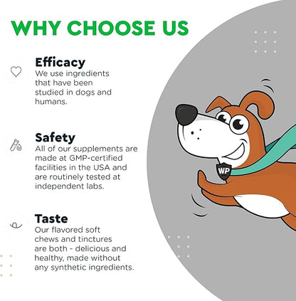 Premium Liquid Glucosamine for Dogs Strength Joint Support, Flexibility, Cartilage & Mobility - Hip and Joint Supplement with Chondroitin, MSM, Collagen & Hyaluronic Acid (32 Oz)