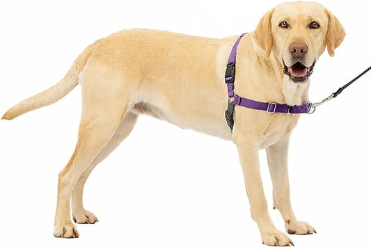 PetSafe Easy Walk Dog Harness - No Pull Dog Harness - Large, Deep Purple