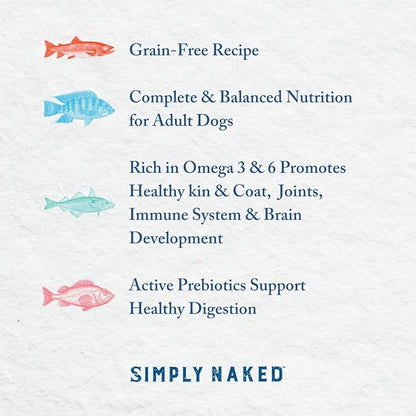 Wild Alaskan Salmon Grain-Free Dog Food | No Chicken or Other Animal by-Products | Rich in Omega 3 & 6 Fatty Acids | Sustainably Sourced Wild Caught Fish | Made in The USA | 4lb Bag