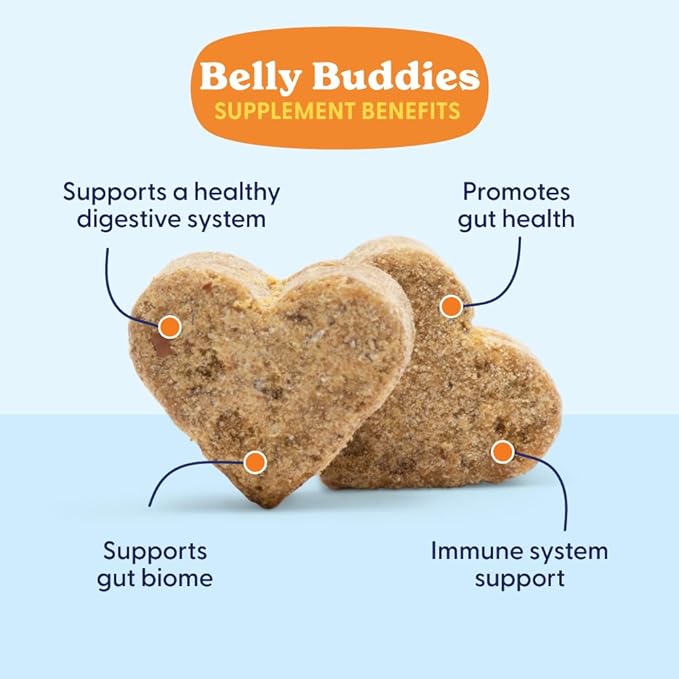 Belly Buddies Probiotics for Dogs, 5 Billion CFUs Prebiotics & Probiotics for Gut Health, 7 Strain Probiotic Blend, Immune Support, for All Dogs, Bacon Flavor, 90 Soft Chews