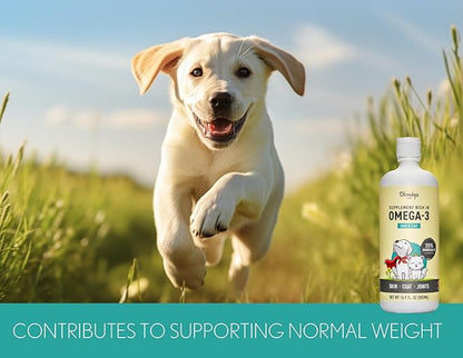 Camelina Oil for Dogs & Cats, 500mL by Olimega Farm | High in Omega-3 & Vitamin E | Support for Healthy Joints, Coat & Skin | Alternative to Salmon Oil for Dogs | Made in Canada | Non-GMO