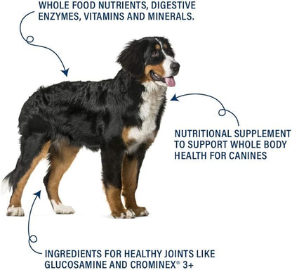 360 Pet Nutrition Canine Superfood Boost Blend All Lifestage Meal Topper Support Supplement for Dogs to Support Whole Body Health, Bone and Joint, Digestion and Immune Support 30 Servings, Beef Flavor